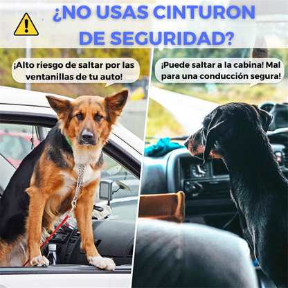 CINTURON DE SEGURIDAD PERROS